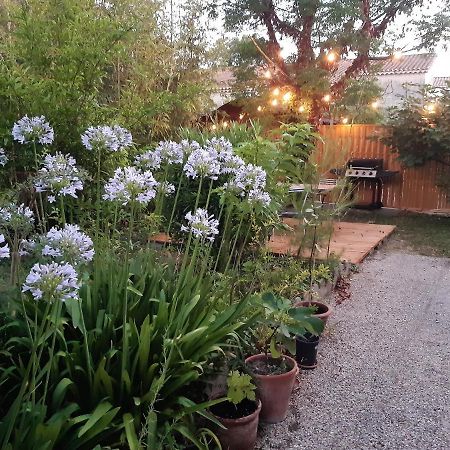 Villa " Les Bambous " , Jardin , Terrasse , Climatisation , Wifi , Parking Avignon Exterior foto