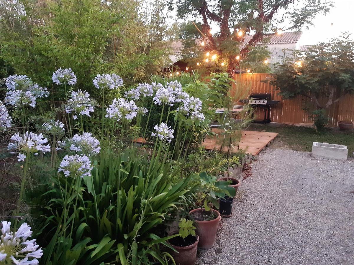 Villa " Les Bambous " , Jardin , Terrasse , Climatisation , Wifi , Parking Avignon Exterior foto